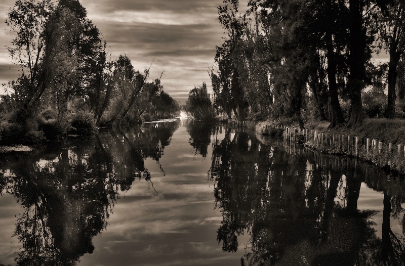 Xochimilco canal in the Morning Sepia