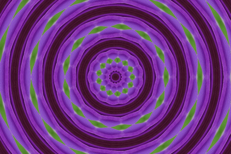 61