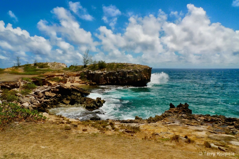 Scenic View in Kauai