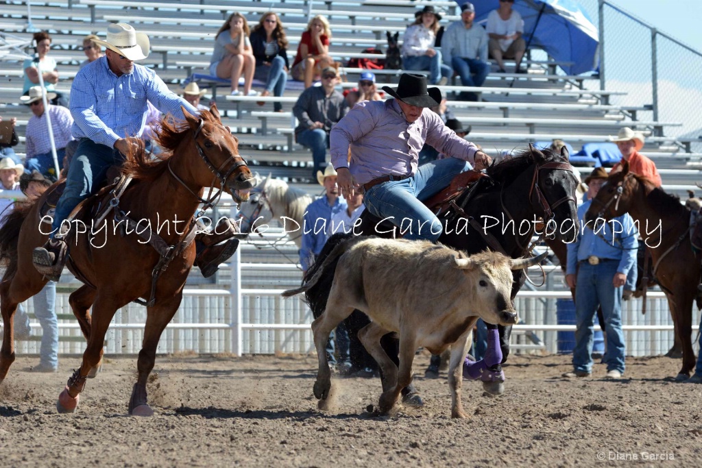 Clayton Grow UHS D16 S SW 1.JPG