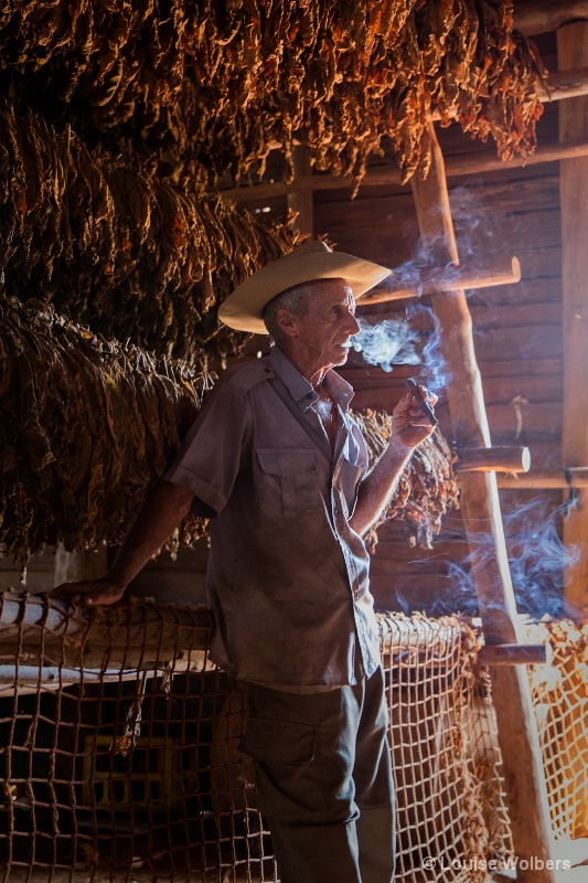 Cuban Farmer