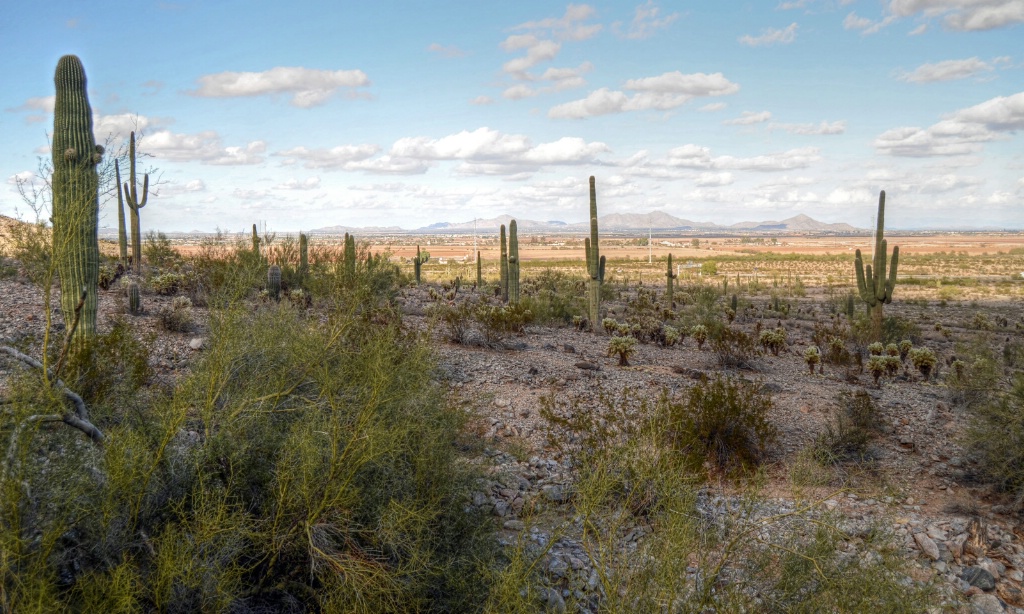 Desert Hiking