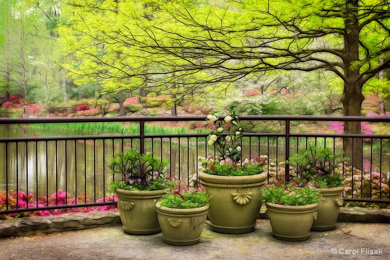 Azalea Bowl
