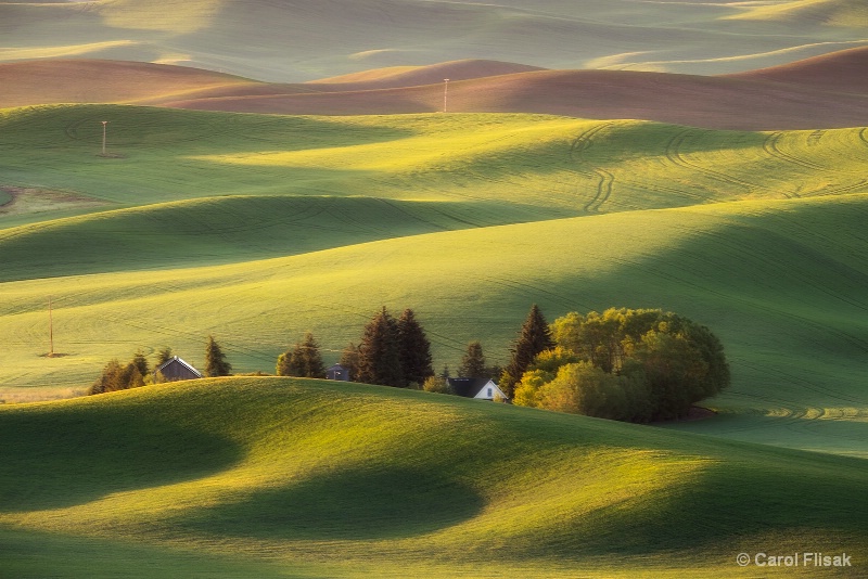 Early Morning Light
