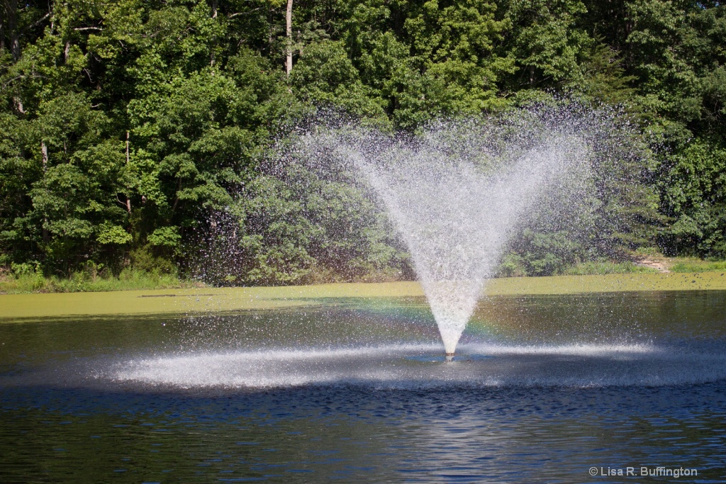 Fountain in the Park