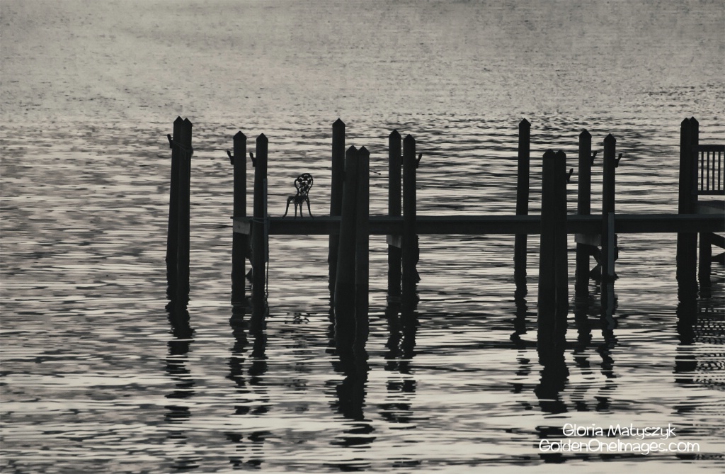 Dock Silhouette at Sunrise;  Treasure Island, FL