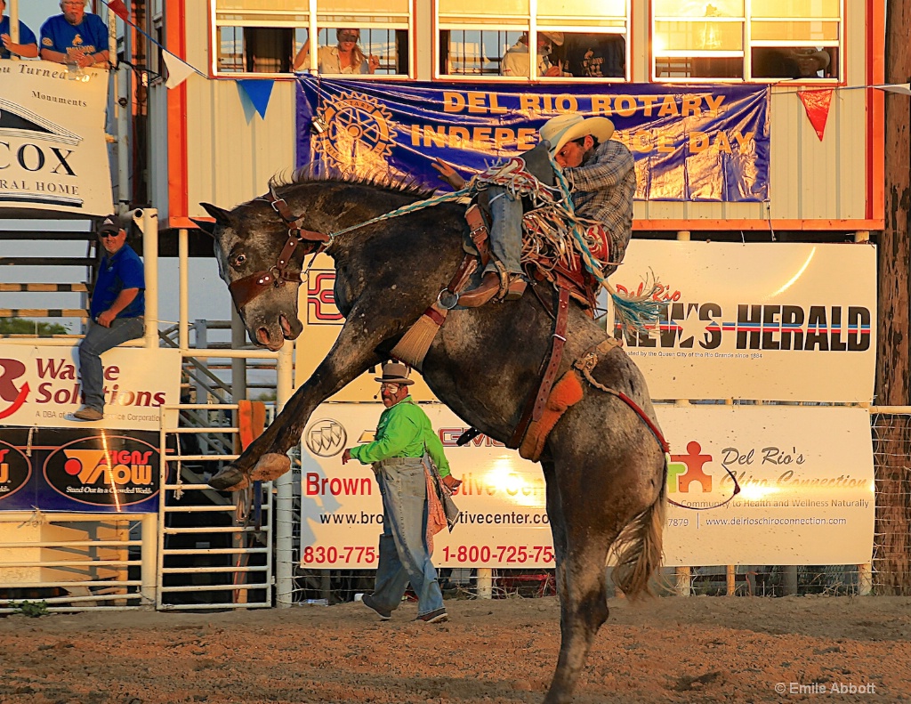 Saddle Bronc Riding for Stan K.