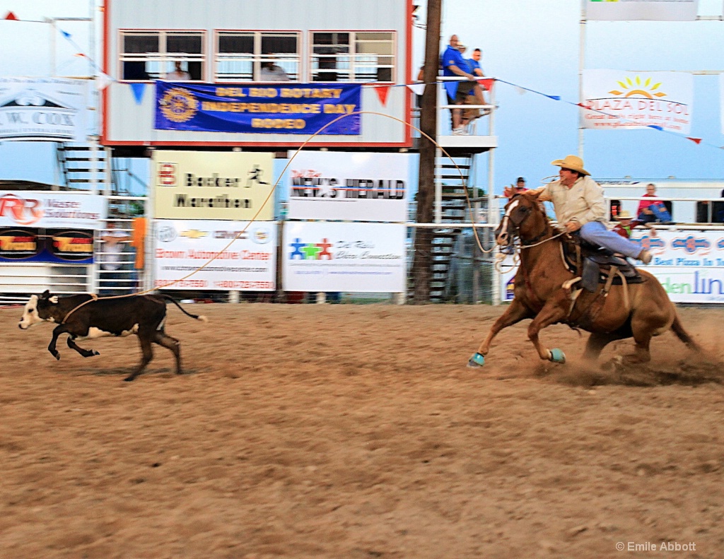 Calf Roping