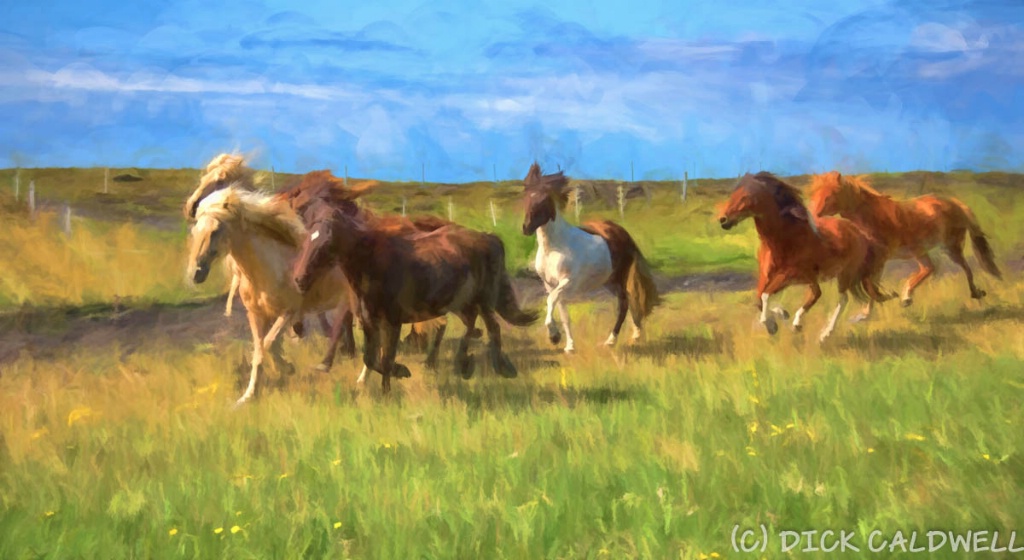 Icelandic horses with a impressionistic flair