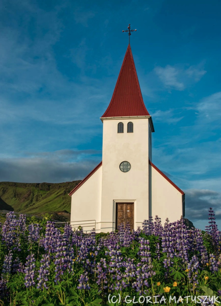 Lutheran Church and lupine photographed at 9 PM
