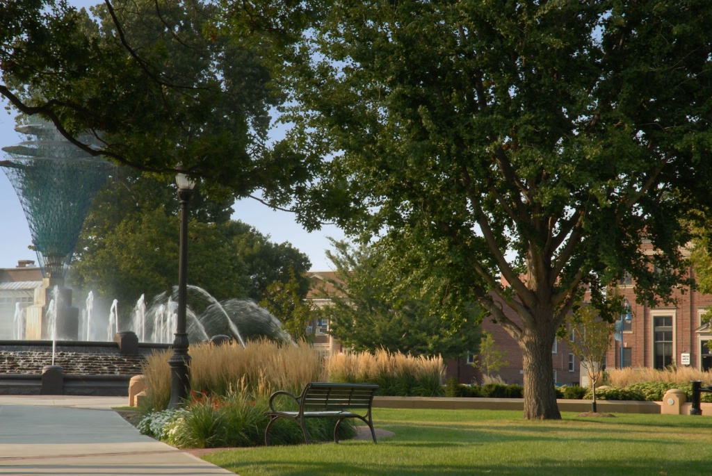 Late afternoon in the park