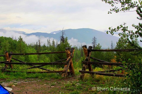 Camp Site View