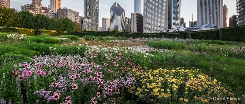 Lurie Garden ~ Chicago