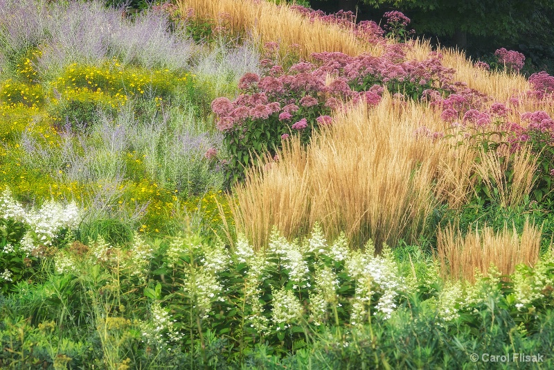 Summer's Bounty