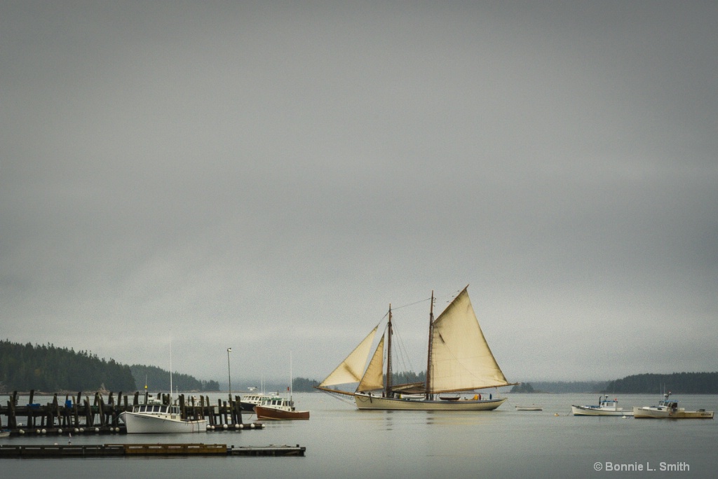 Sailing Under Leaden Skies 1 of 1