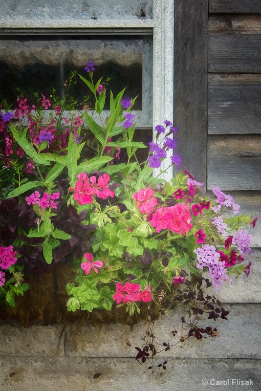 Painterly Window Box