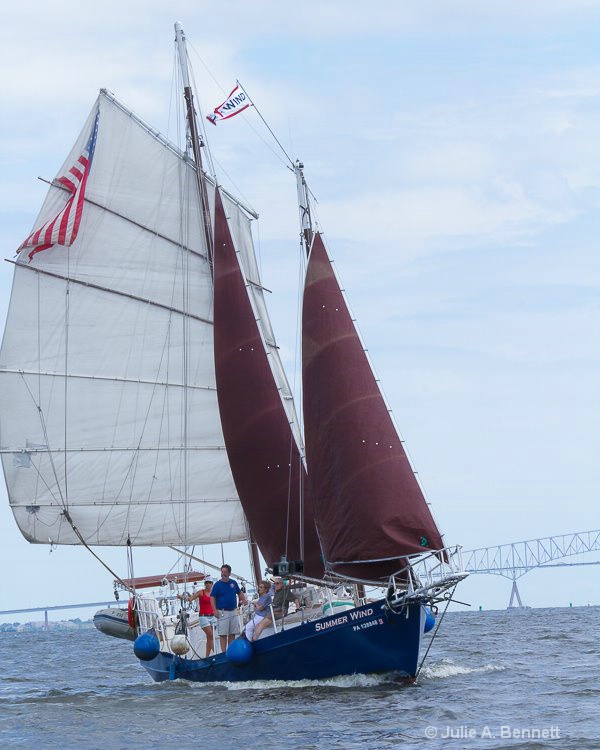 bay 20