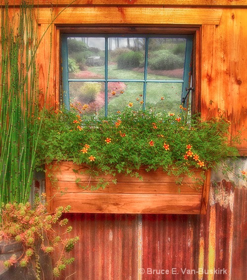 Ft Bragg botanical garden window