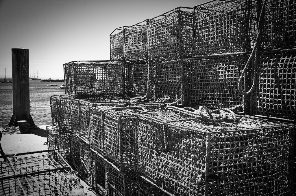 Lobster Traps in Cascais