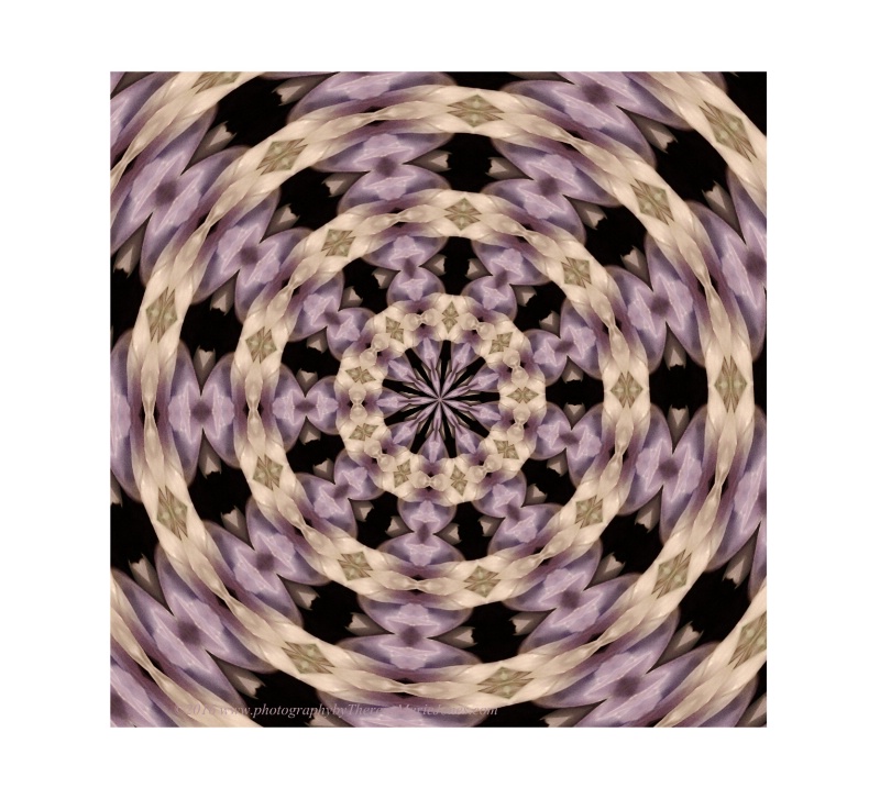 54