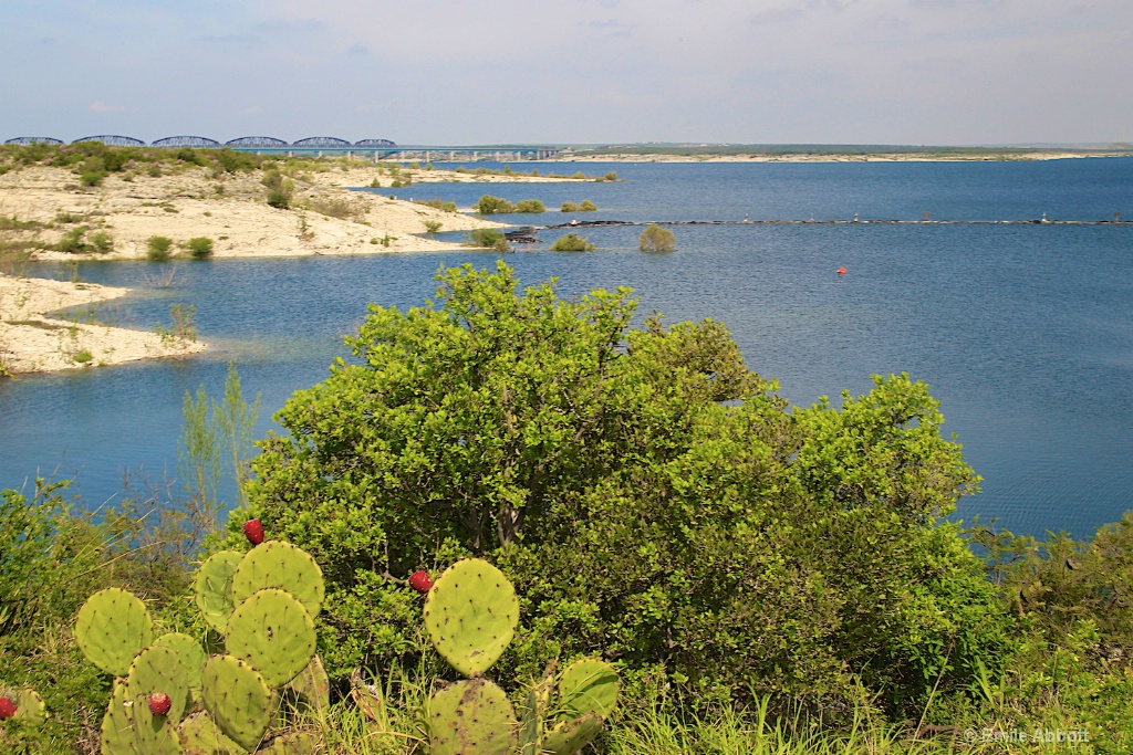 Lake Amistad 2