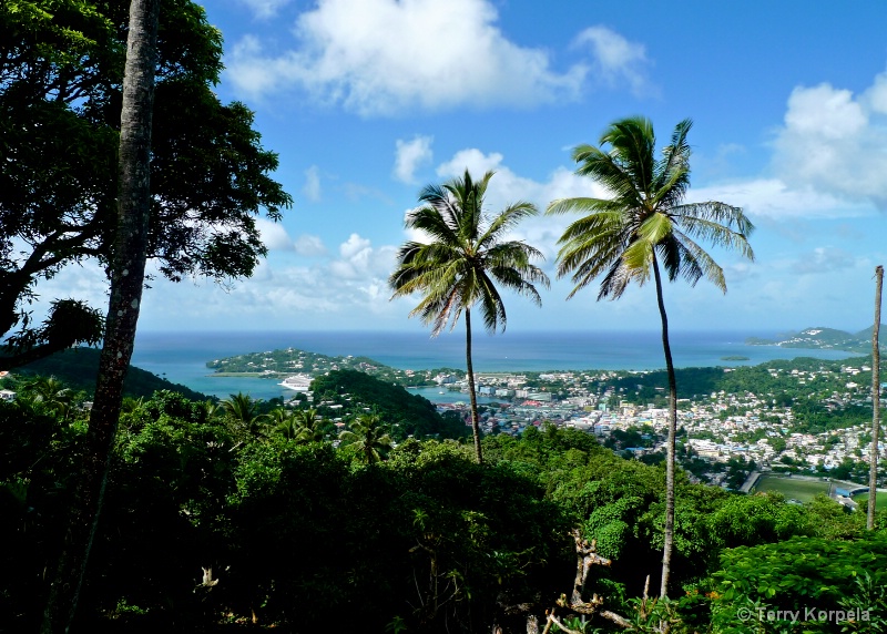 Scenic View from St. Lucia