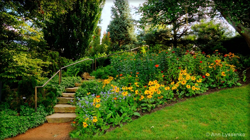 Meadow Stairs