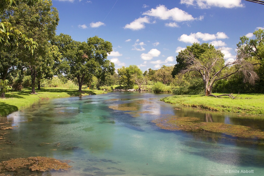 Scene on San Felipe Creek