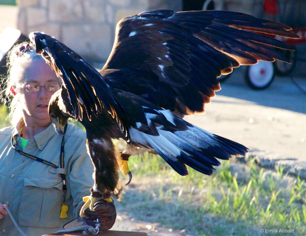 GOLDEN EAGLE 2