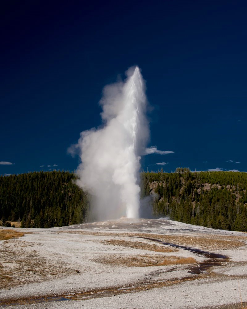 Old Faithful Erupts
