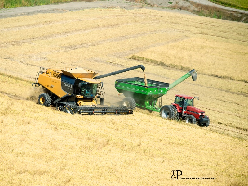 2016 Rice Harvest
