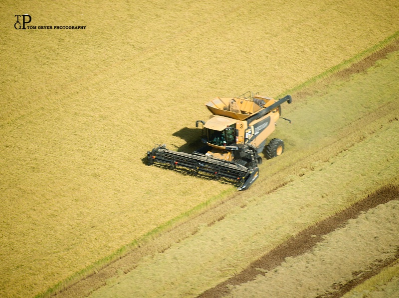2016 Rice Harvest