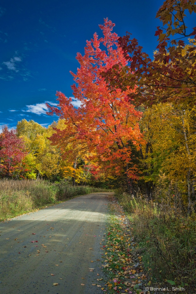Fall Colors 2016 2