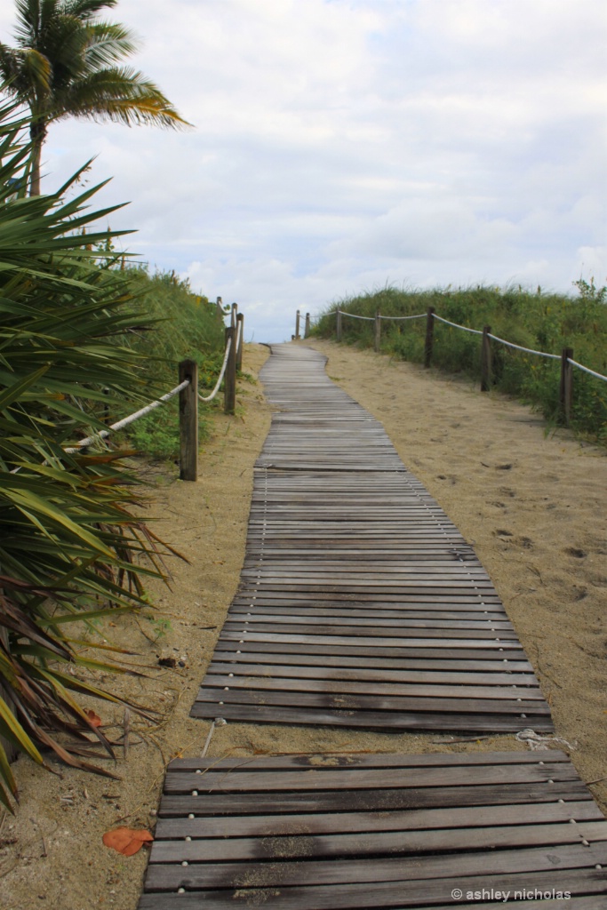 Path to the sea