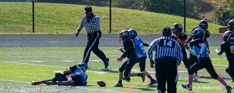 Loose Ball
