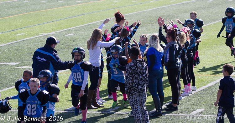 Panthers Win Celebration