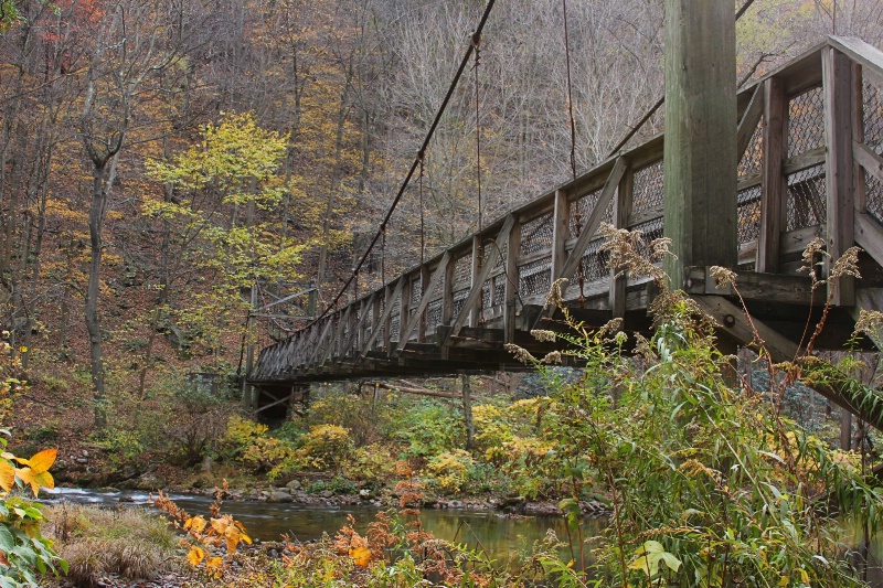 Swinging Bridge