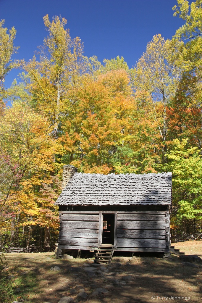 Plain Cabin Surrounded With Color