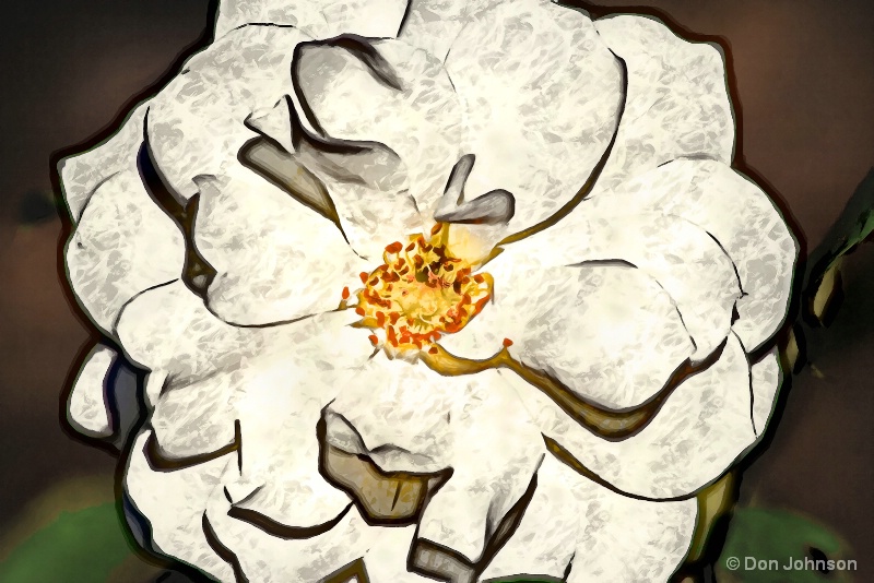 Artistic Beautiful White Rose 10-22-16 613