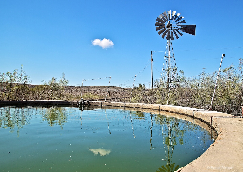 West Texas Windmill