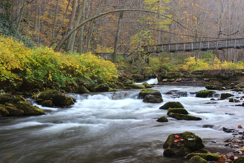 Late Fall Along the Savage River