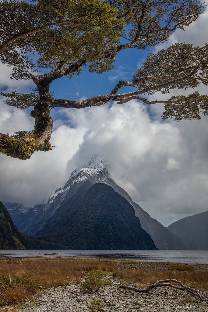 Milford sound