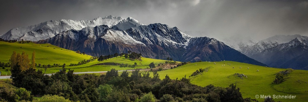 New Zealand countryside
