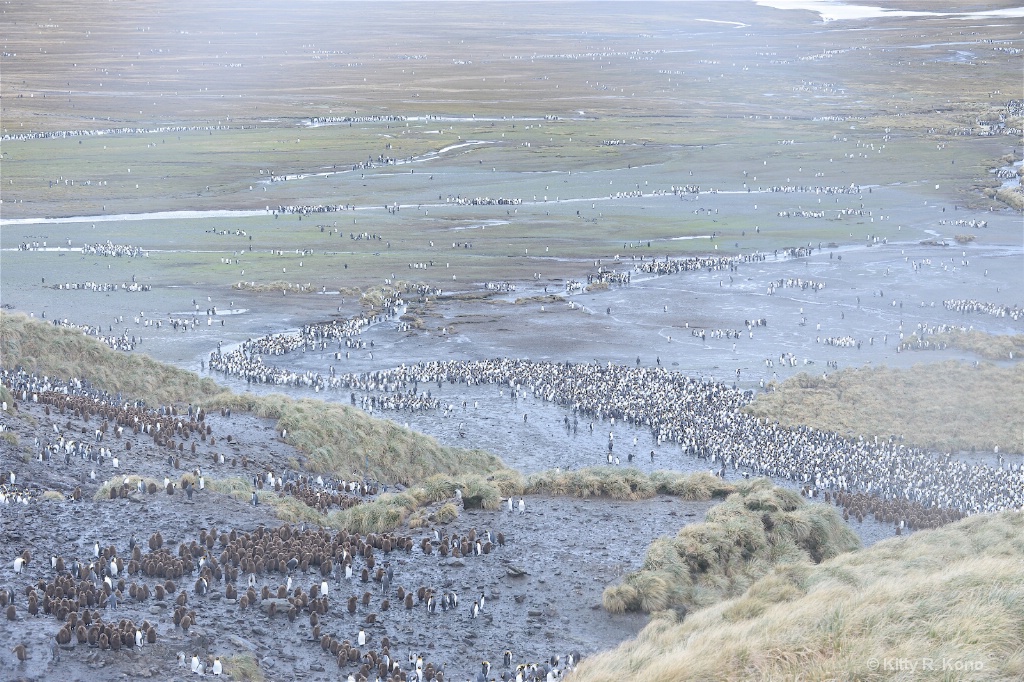 Looking Down on Oakum Boys -  Salisbury Plain - Be