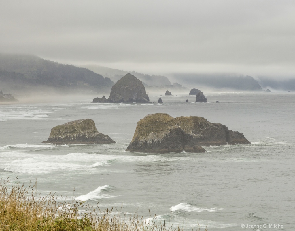  Ecola State Park
