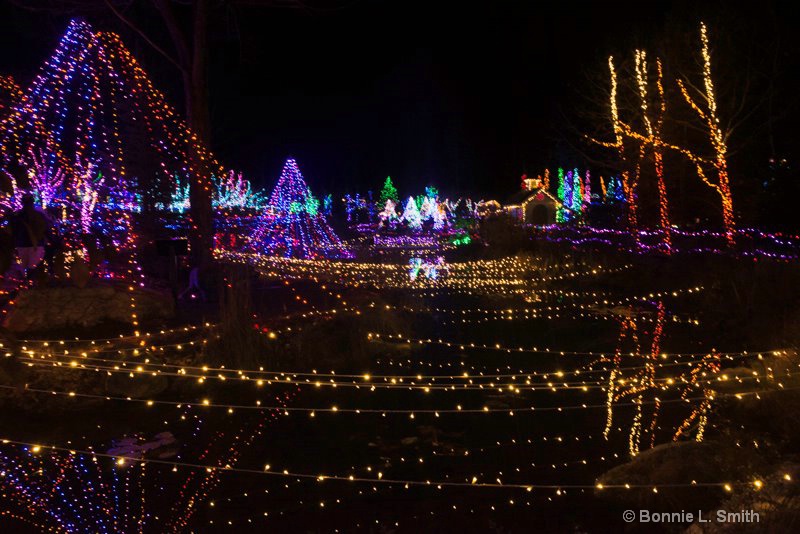Gardens Aglow 1