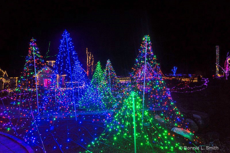 Gardens Aglow 2
