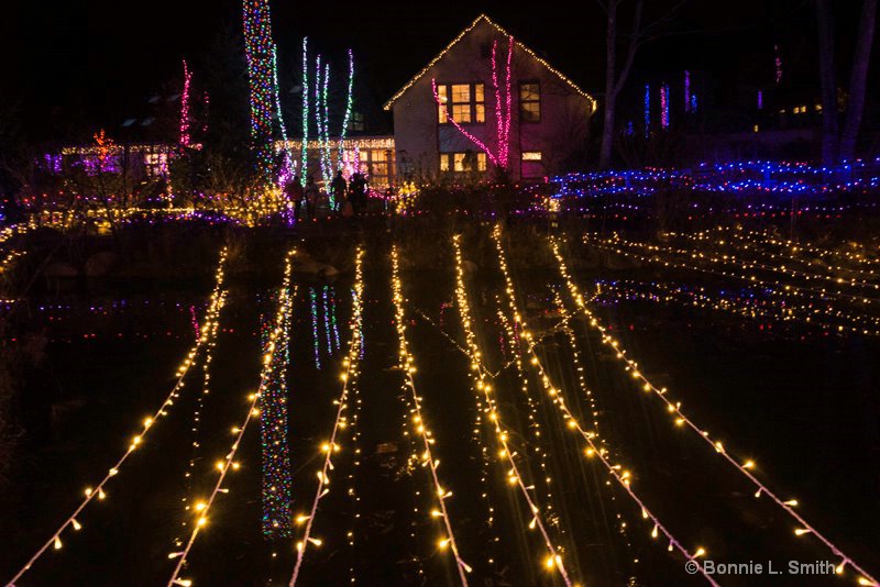 Gardens Aglow 3