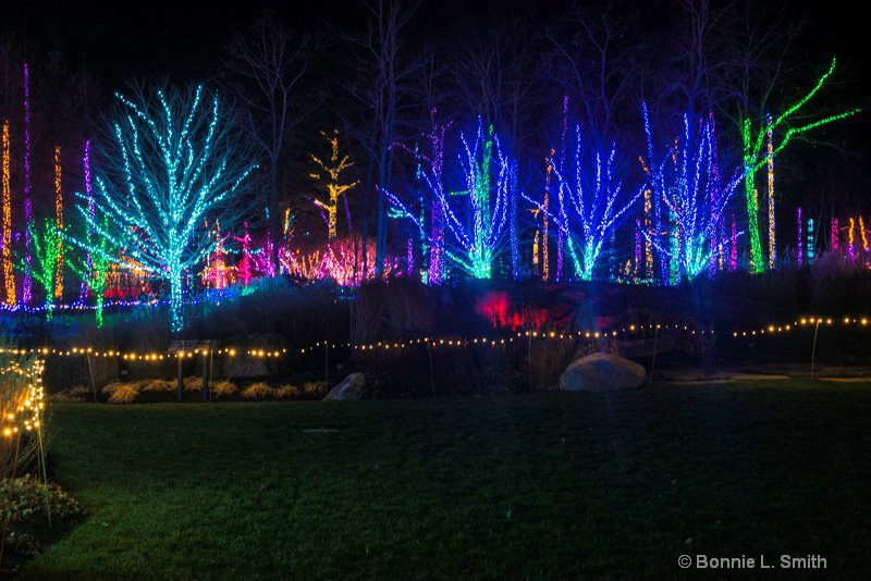 Gardens Aglow 4