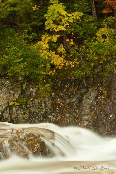 Blackberry Crossing, New Hampshire